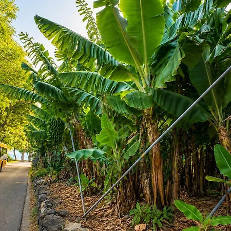 Banana Bungalow, Tranquil Escape Near *